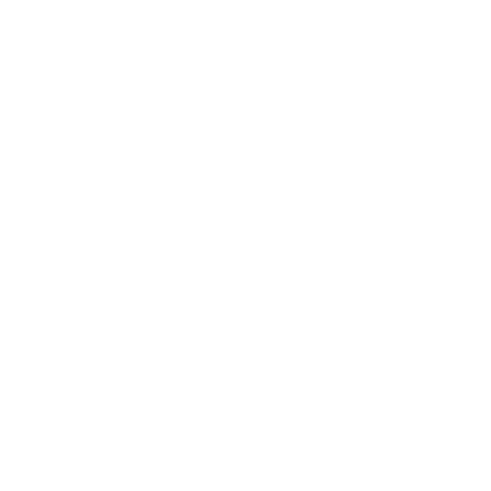 United Against Fascism: Redebeitrag Bfa!